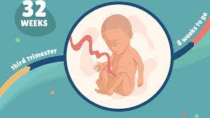 32 Weeks Pregnant Baby Development Symptoms And More