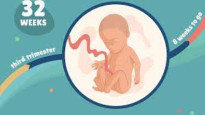 The conversion factor from days to weeks is 0.14285714285714, which means that 1 day is equal to. 32 Weeks Pregnant Baby Development Symptoms And More