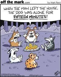 12 Clever Comics About Cats And Dogs That Are Too Funny Not To See Dog Jokes Dog Comics Funny Dogs