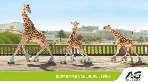 Car insurance protects you against losses incurred if your car gets damaged or stolen. Nl Nationale Campagne Ag Insurance Spot 3 Giraffes Youtube