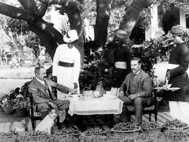 The British in India offers a rich and nuanced social history of empire