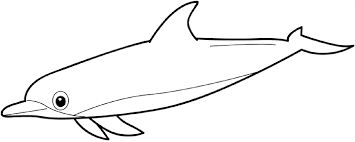 Vector black and white coloring page. Sea Animal Coloring Pages 19 Pictures Colorine Net 13211 Coloring Home