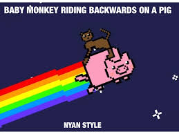 Baby Monkey Backwards On A Pig Nyan Style By Nature Lover Girl On Deviantart