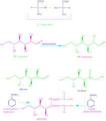 Pin By Rhea Ganguly On Mcat Study Organic Chemistry Books Organic Chem Chemistry Notes