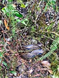 În madagascar am fost ameninţat de un procuror şi de un poliţist / am fost adus forţat în românia. Madagascar Al 8 Lea Continent Impresii DescoperÄƒ Madagascar Excursii È™i CÄƒlÄƒtorii Amfostacolo