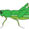 Find the perfect cricket insect stock illustrations from getty images. Https Encrypted Tbn0 Gstatic Com Images Q Tbn And9gcrby Iviuhhheom6olbbvaaojkyppmvl6c0vp Ui5nw93 Fnbt3 Usqp Cau