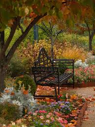 Found On Bing From Www Pinterest Com Autumn Garden Beautiful Gardens Outdoor Gardens