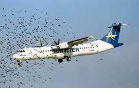Worldwide leader in regional aviation with new generation of #turboprops from 48 to 78 seats. Tuninter Flight 1153 Wikipedia