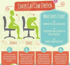 infographic five office friendly yoga poses you can do at