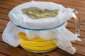 Image result for Pyrethrin