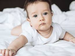 Fnaf Juguetes De Twisted Freddy Funko Los Juguetes De Fnaf Funko Five  Nights At Freddy's