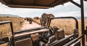 Easily compare offers from 3,534 specialized tour operators. Discover The 5 Best African Safari Tours And Photo Safaris Mr Hudson