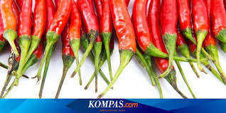 Loker sopir truk cabe : Soal Cabai Menteri Perdagangan Buat Permintaan Khusus Ke Menteri Pertanian