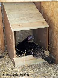 Poultry industry is the world's largest producer and second largest exporter of poultry meat and a major egg producer. Turkeys Breeding Hatching And Brooding Community Chickens