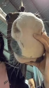 쫄보+의심대마왕/재탕쟁이 저는 바닐라구요 취미로 스위치인 사람입니다. ì˜ì™¸ë¡œ ë§ëž'ë§ëž' ë„¤ëª¨íŒ