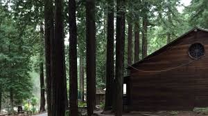 Who and where rcwa (say: Employment Camp And Conference Director Alliance Redwoods