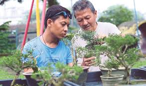 We did not find results for: Kesabaran Hasilkan Bonsai Indah