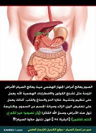 14 7 jpg 650 900 ramadan arabi medical