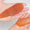 Download how to make fish roll. 1