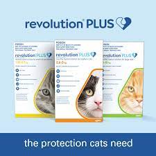 Your vet may prescribe some medications to treat symptoms and others to reduce inflammation caused by the heartworms. Revolution Plus Flea Worm Tick For Adult Cats 6 Pack