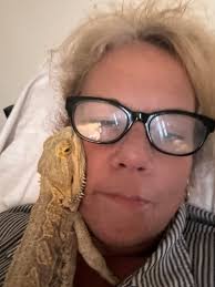 Let's welcome our new members! Michaeley Stevens, Bearded dragons for  adoption , Lisa Stevens, Marisa Covell