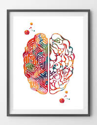 Brain Functions Watercolor Print Creativity And Logic Etsy Brain Art Neurology Art Art Psychology