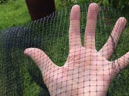 Our butterfly netting guide shows how we used butterfly netting to grow winter cabbage. Butterfly And Bird Netting Garden Mesh Protection Bird Control