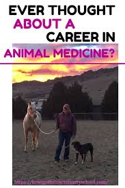 36 Questions With A Dvm Student From Csu Vet School Colorado State University Vet Student