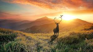 Download and use 7,000+ sunrise stock photos for free. Hd Wallpaper Fantasy Art Deer Antler Bird Sunrise Dawn Good Morning Wallpaper Flare