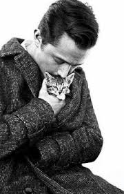 Kucagimizda Bir Kedi Sevdasi Kucagimizda Bir Kedi Sevdasi Kedi Guzel Kediler Hayvan Resimleri