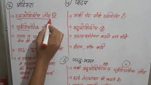 Animal cell and plant cell mein antar. Animal Cell Vs Plant Cell In Hindi à¤œà¤¨ à¤¤ à¤• à¤¶ à¤• à¤à¤µ à¤ª à¤¦à¤ª à¤• à¤¶ à¤• à¤® à¤… à¤¤à¤° à¤¹ à¤¦ à¤® Youtube