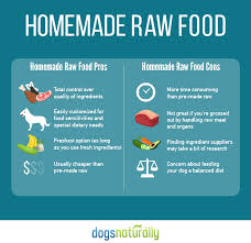 Raw Dog Food Homemade Vs Store Bought Dogs Naturally