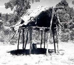 Aboriginal Technology This House Which Features A Platform Was Built As A Shelter From Wet W Aboriginal History Australian Aboriginals Aboriginal Culture