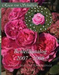 On 4 january 1587 he married anne de croÿ, the eldest daughter of philippe iii de croÿ , 3rd duke of aarschot. Download Version Rosenhof Schultheis