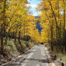 We did not find results for: Molas Lake Campground Reviews Silverton Co Tripadvisor