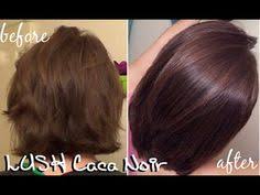 Pin By J Louise Shaffer On Hair Home Stylist Henna Hair Henna Hair Dyes Lush Henna Hair Dye