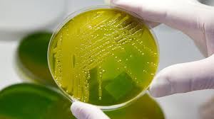 Maybe you would like to learn more about one of these? Antibiotika Und Multiresistente Keime Antibiotikaresistenzen Die Angst Vor Superkeimen Br Wissen