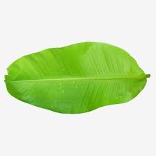 Green Banana Leaves Leaf Clipart Banana Tropical Png Transparent Clipart Image And Psd File For Free Download Banana Leaves Image Palm Background Banana Leaf