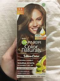 Bukan coklat merah jamet gitu. Garnier Color Naturals Health Beauty Hair Care On Carousell