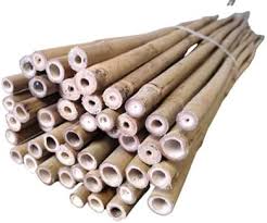 Wrap twine around the end of the first cane. Homatz Bamboo Canes 2ft 3ft 4ft 5ft 6ft Strong Heavy Duty Thick Sticks 10mm 14mm Bamboo Plant Support Garden Canes 3ft X 10 Amazon Co Uk Garden Outdoors