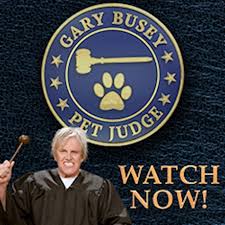 We did not find results for: Gary Busey Pet Judge
