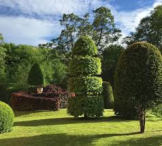 Ever Wonder About The History Of Topiary British Garden Topiary Leyland Cypress