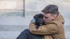 When you want to get a new pet, you have many resources, ranging from rescue groups and shelters to breeders and family and friends. 10 Ways Pets And Mental Health Go Together Newport Academy