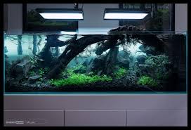 Green Aqua Showroom Aquascape Freshwater Aquarium Aqua