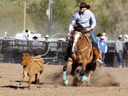 Amarillo by morning is a country music song written by terry stafford and paul fraser, and recorded by stafford in 1973. George Strait Amarillo By Morning Guitar Lesson Yourguitarguide Com