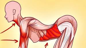 с помощью каких упражнений можно убрать живот и бока Pin Na Doske Sovety