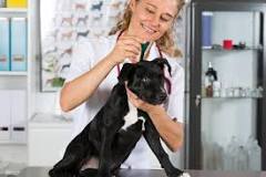 Image result