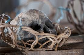 Στο tripadvisor θα βρείτε κριτικές από ταξιδιώτες, φωτογραφίες και χαμηλές τιμές για ξενοδοχεία (annah rais longhouse adventure, κουτσίνγκ, μαλαισία). Longhouse Daytrip Experience Borneo Experiences By Singgahsana Lodge Adventure Sdn Bhd