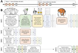 Computer hardware includes the physical parts of a computer, such as the case, central processing unit (cpu), monitor, mouse, keyboard, computer data storage, graphics card, sound card. Medial Prefrontal High Definition Transcranial Direct Current Stimulation To Improve Pain Modulation In Chronic Low Back Pain A Pilot Randomized Double Blinded Placebo Controlled Crossover Trial The Journal Of Pain
