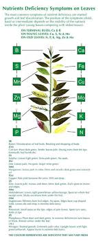 Micronutrients Deficiency Chart The Most Common Symptoms Of Nutrient Deficiency Are Stunted Growth And Plant Nutrients Nutrient Deficiency Plant Deficiencies